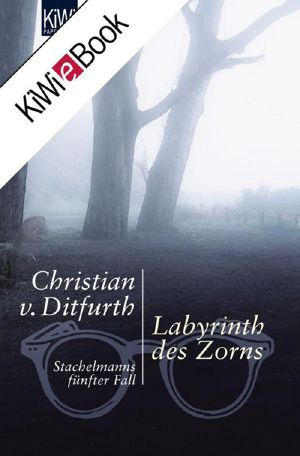 [Stachelmann 05] • Labyrinth des Zorns